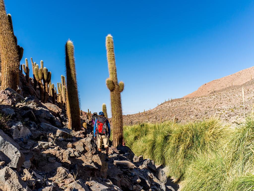 Готель Noi Casa Atacama Сан-Педро-де-Атакама Екстер'єр фото